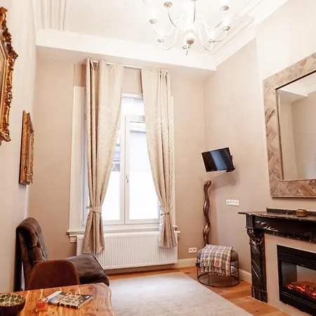 Luxury Palace Apartment